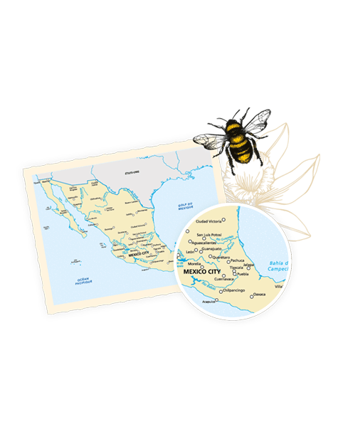 KV carte Mexique (1)