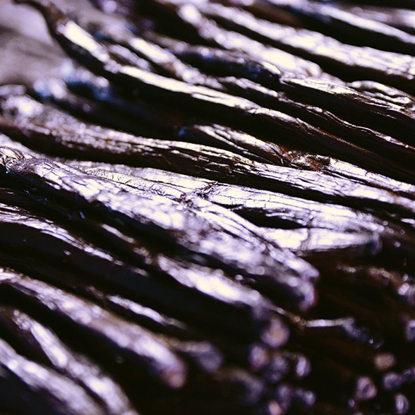 Affinage des gousses de vanille de Tahiti