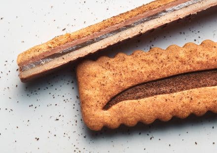 Polvere di vaniglia biologica del Madagascar