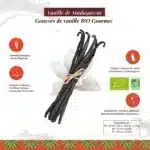 Caractéristiques des gousses de vanille Madagascar Bio B2B  NOROHY FR