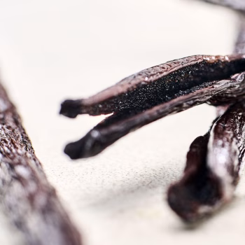 Baccelli di vaniglia del Messico